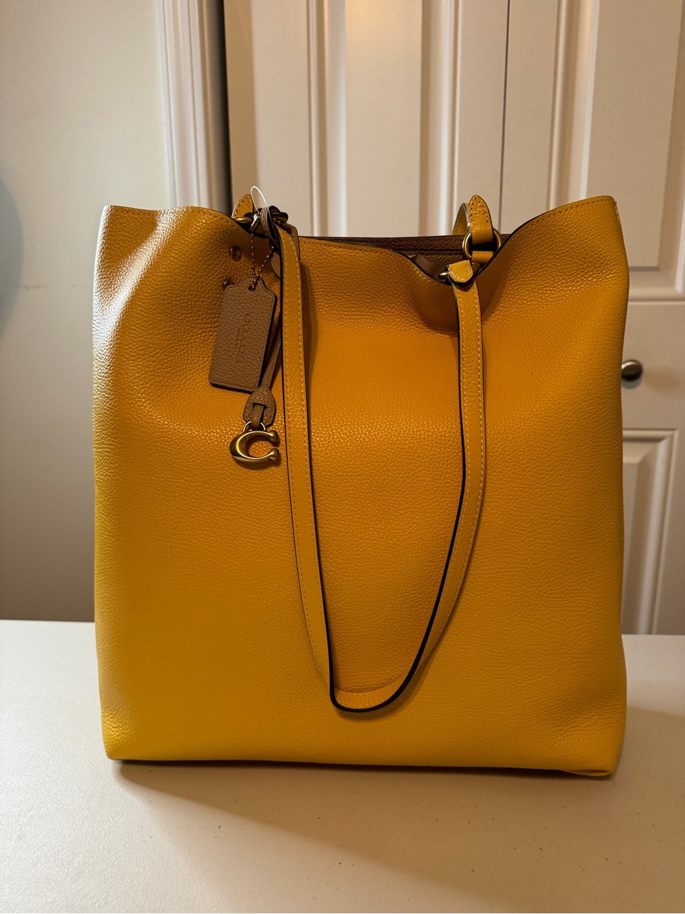 Coach Plaza Leather Tote